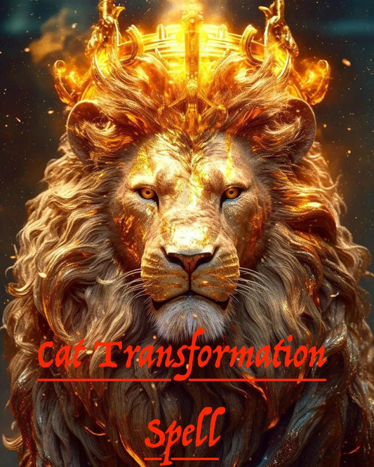 Cat Transformation Spell