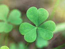 Good Luck Spell, Powerful Spell, Very Good Luck, Quick Spell.
