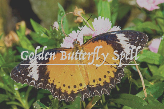 Golden Butterfly SPELL for all of your Wishes Extremely Powerful Tiger Butterfly Spell for Anything You Need