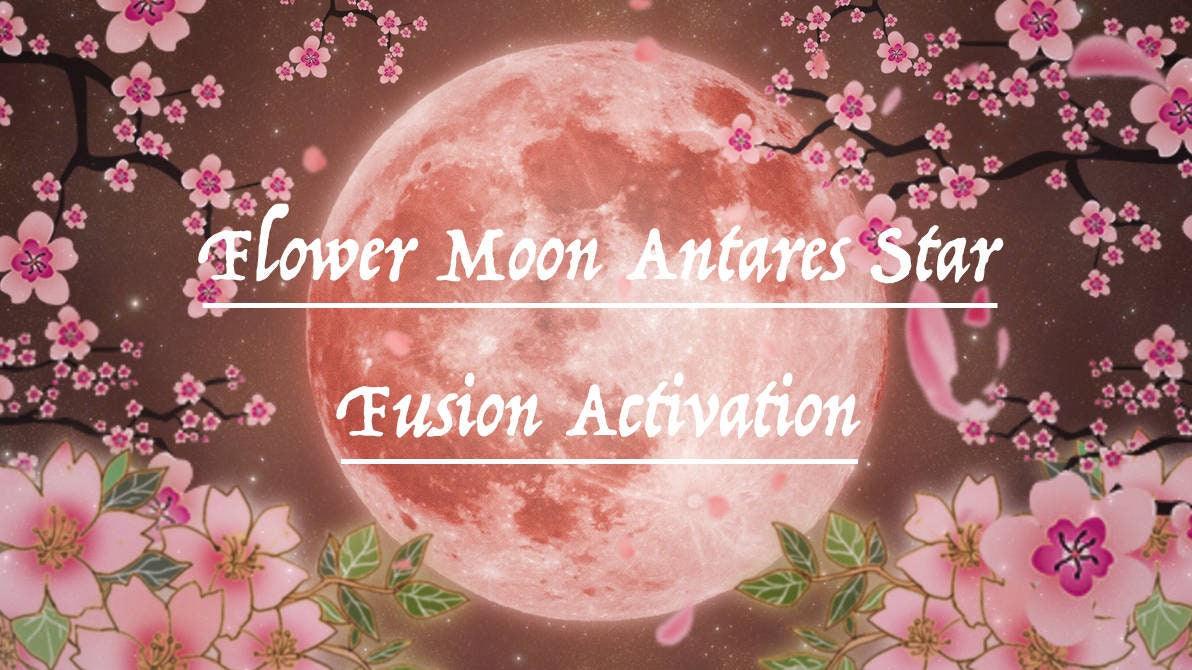 Flower Moon Antares Star Fusion Activation, Powerful Divine Full Moon Activation